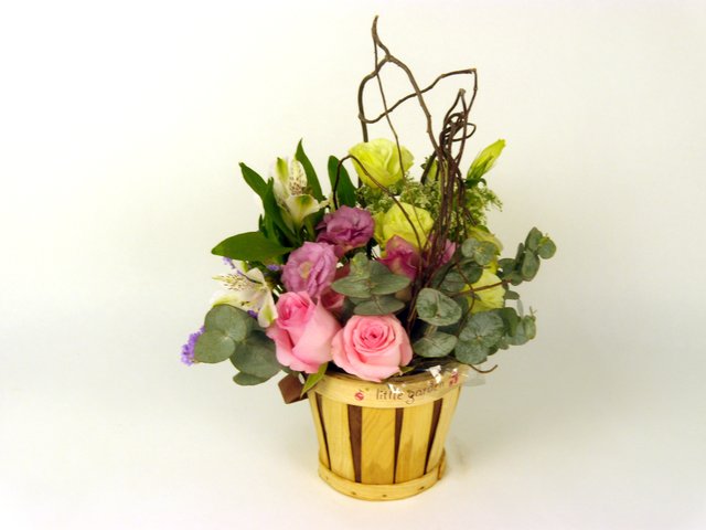 Florist Flower Arrangement - Little Garden - P6895 Photo