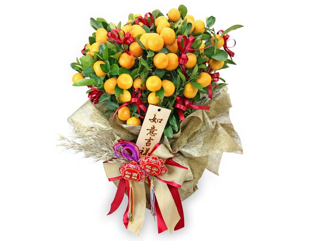 Flower Shop Plants - New year citrus plant NY02 - 0TT0125A2 Photo